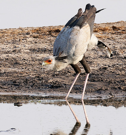Hwange National Park