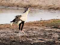 Hwange National Park