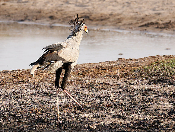 Hwange National Park