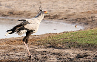 Hwange National Park