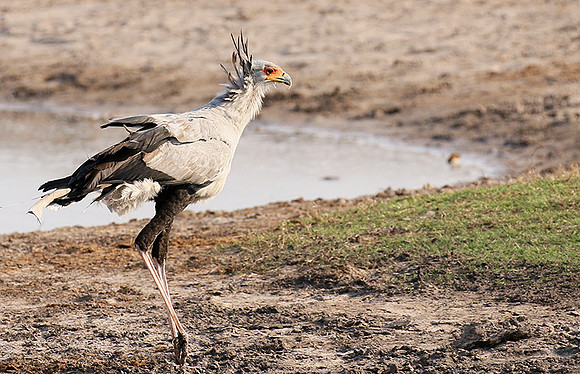 Hwange National Park