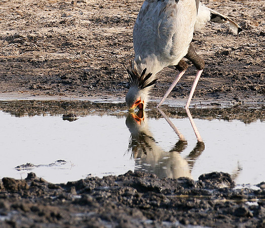 Hwange National Park