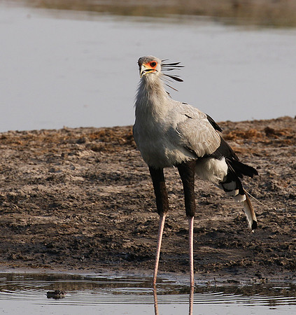 Hwange National Park