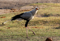 Hwange National Park