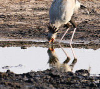 Hwange National Park
