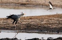 Hwange National Park