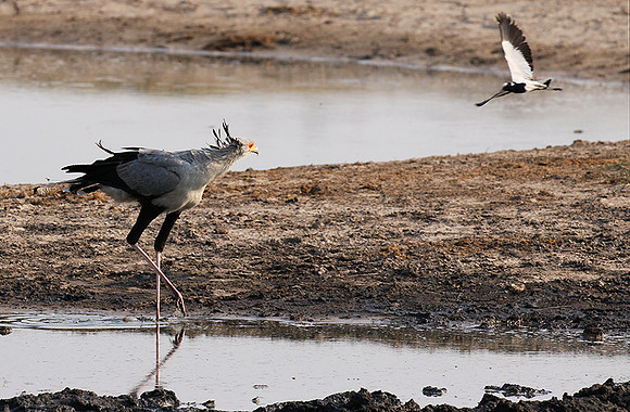 Hwange National Park