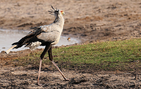 Hwange National Park