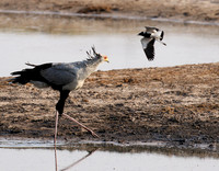Hwange National Park