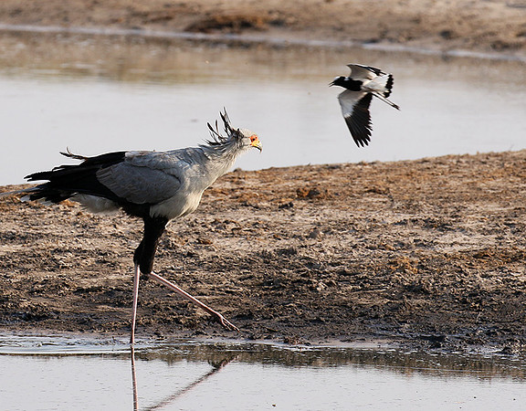 Hwange National Park