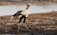 Hwange National Park