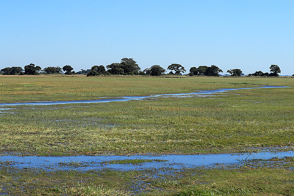 Landscape in Kafue NP