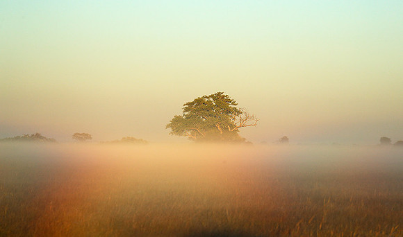 Landscape in Kafue NP