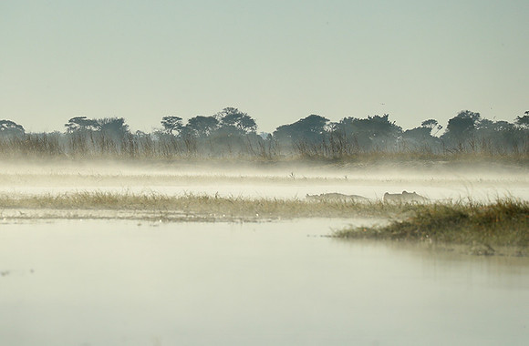 Landscape in Kafue NP