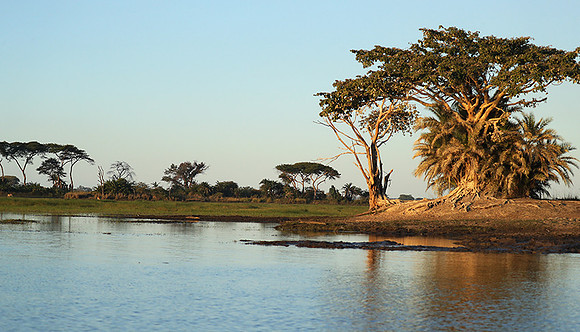 Landscape in Kafue NP