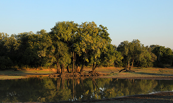 South Luangwa