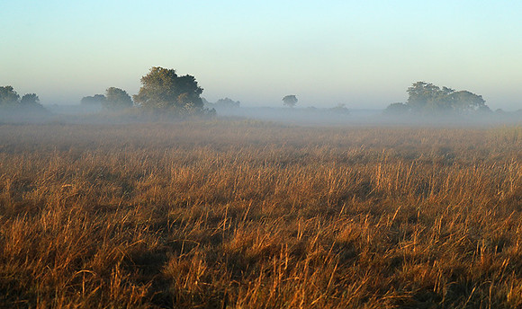 Landscape in Kafue NP