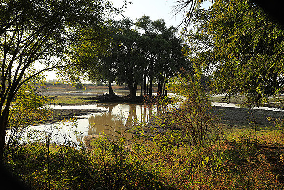 South Luangwa