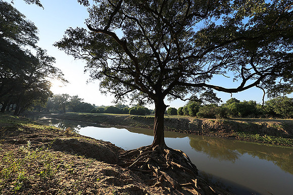 South Luangwa