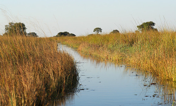 Landscape in Kafue NP