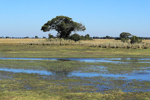Landscape in Kafue NP