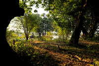 South Luangwa