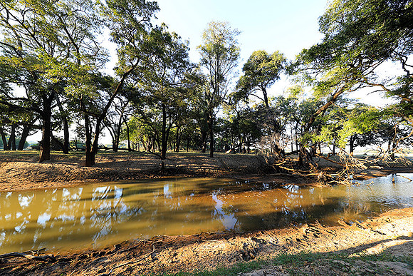 South Luangwa