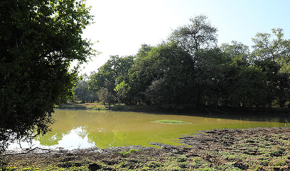 South Luangwa