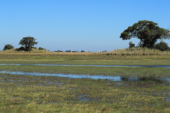 Landscape in Kafue NP
