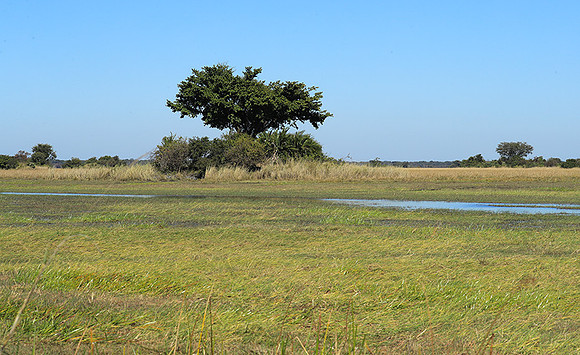 Landscape in Kafue NP