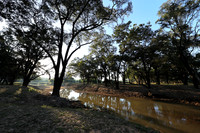 South Luangwa