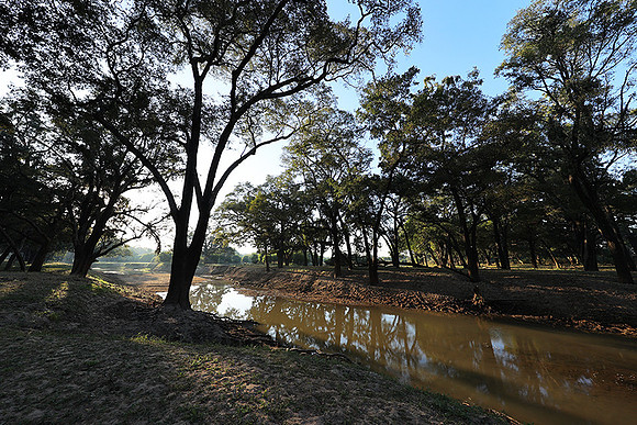 South Luangwa