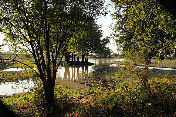 South Luangwa
