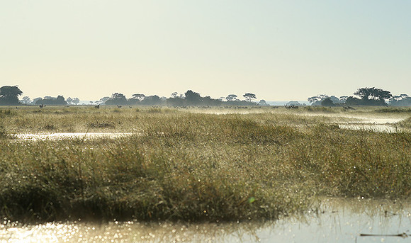 Landscape in Kafue NP