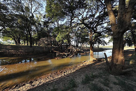 South Luangwa
