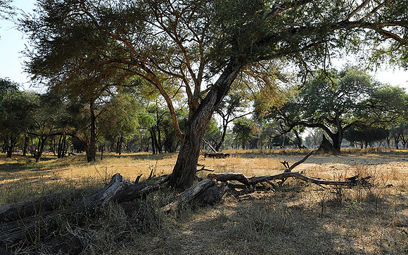 Lower Zambezi
