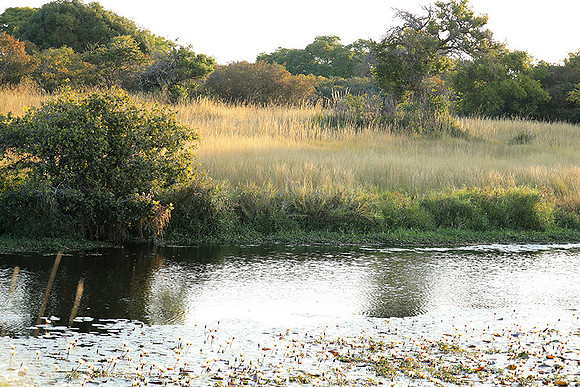 Landscape at Liuwa Plains NP