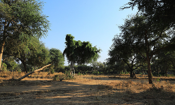 Lower Zambezi