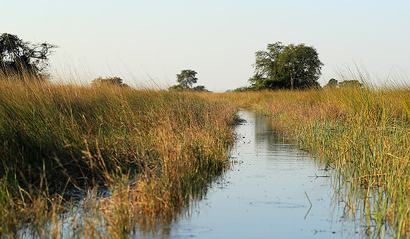 Landscape in Kafue NP