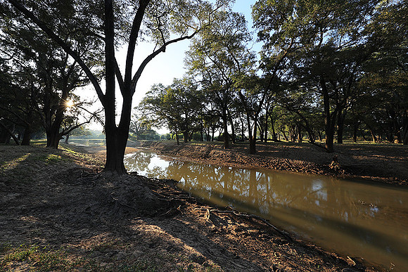South Luangwa