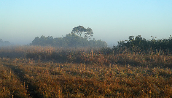 Landscape in Kafue NP