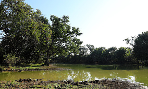 South Luangwa