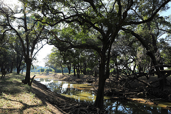 South Luangwa