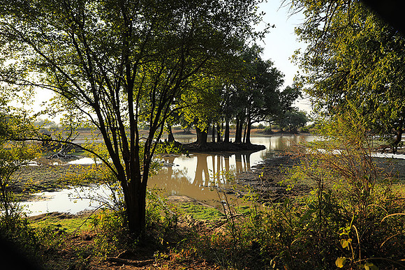 South Luangwa