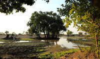 South Luangwa