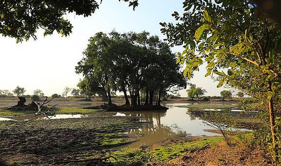 South Luangwa