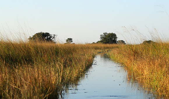 Landscape in Kafue NP