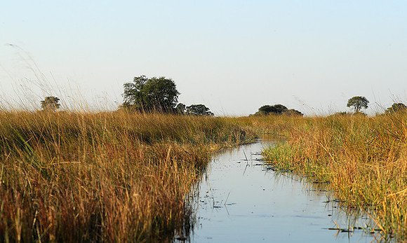 Landscape in Kafue NP
