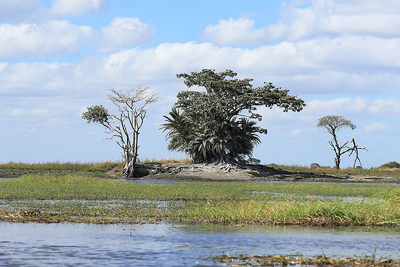 Landscape in Kafue NP