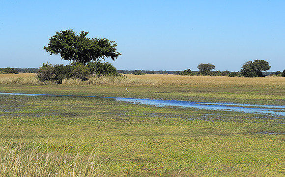 Landscape in Kafue NP